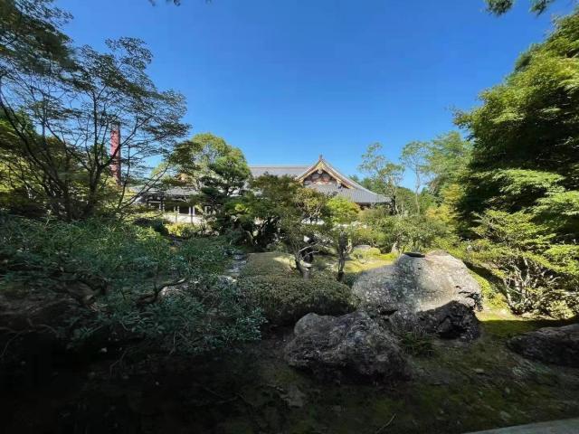 日本阿含･桐山杯许家元首度加冕，井山事不过“五”